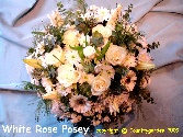 Medium Posy R P9